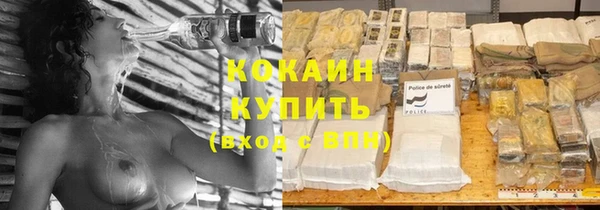 прущие крисы Новозыбков