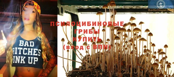 соль курить ск Новодвинск