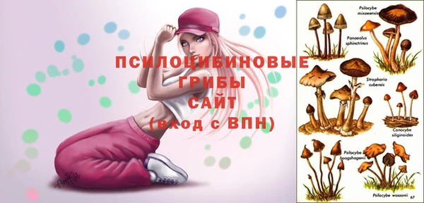 ALPHA-PVP Новокубанск
